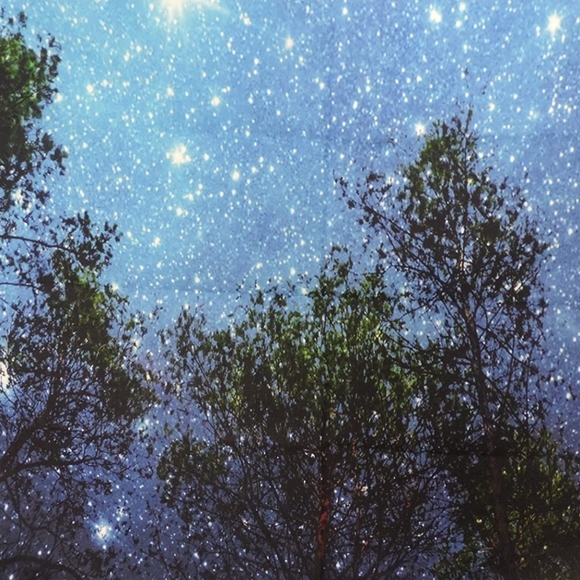 Large Tapestry - Picture 2 of 3